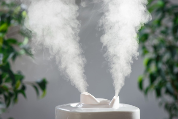 image of a room with a humidifier