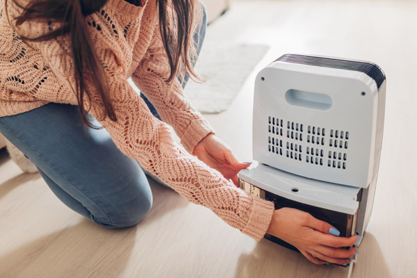 portable dehumidifier