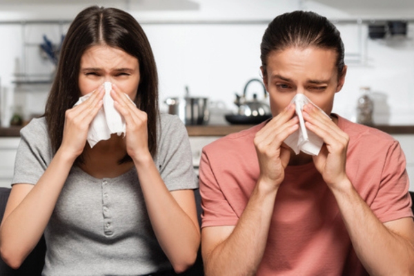 couple sneezing in paper napkins due to poor indoor air quality
