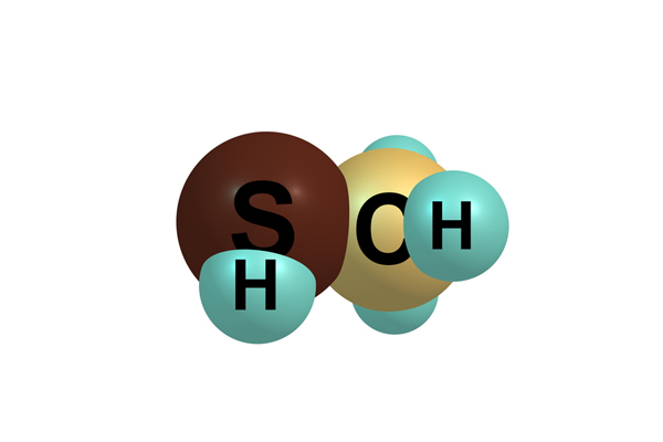 Methyl mercaptan depicting natural gas leak