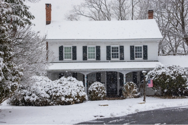 house and trees covered in snow