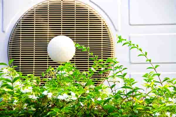 image of a heat pump compressor surrounded by overgrown plants