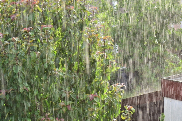 strong rain depicting How External Water Gets Into a Fuel Oil Tank